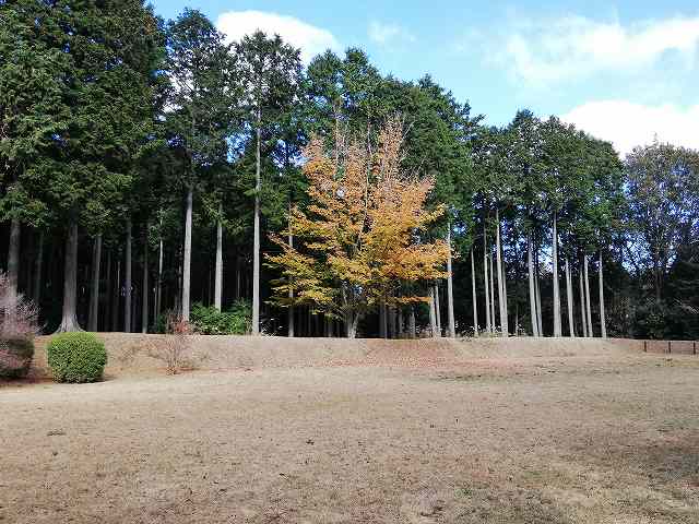 山中城 北ノ丸