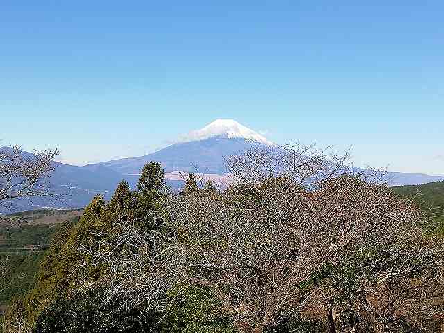山中城 西櫓から見た富士山