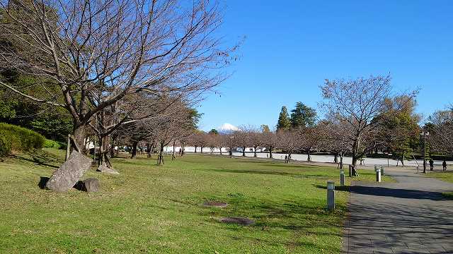 駿府城_坤櫓付近から見た富士山01