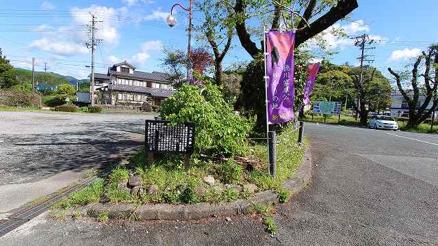 長篠城_さかさ桑02