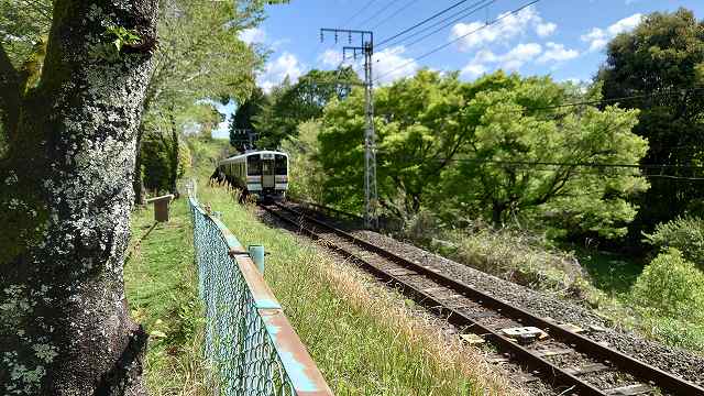 長篠城_城内を通るJR飯田線の電車01
