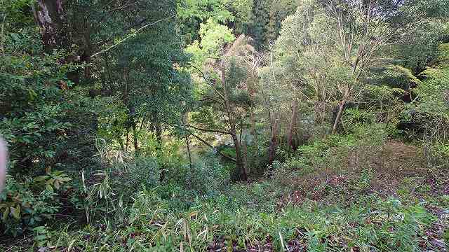 長篠城_本丸から見た豊川01