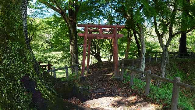 長篠城_本丸土塁上の鳥居01