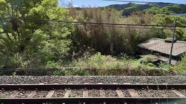 長篠城_城内にある線路と野牛郭02