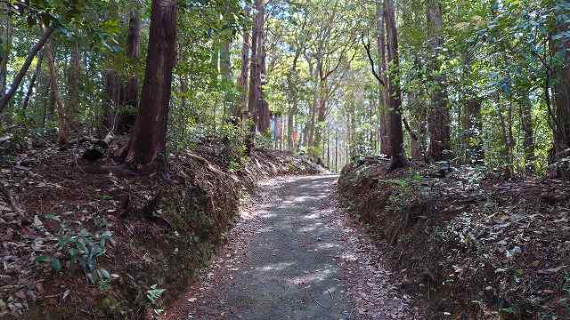 長篠城_鳶ヶ巣山砦06
