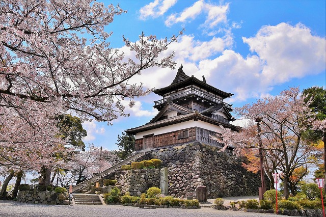 霞が城公園(春の桜)