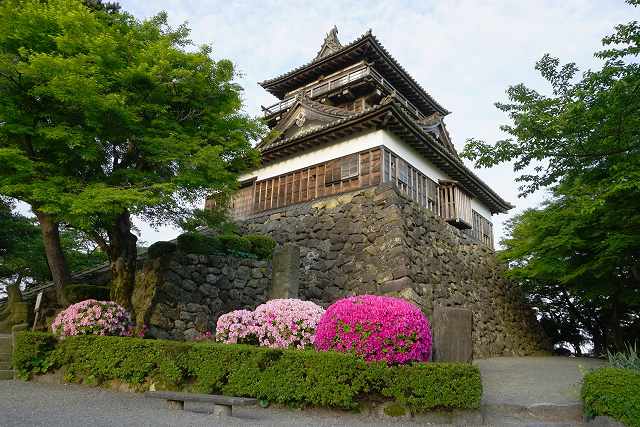 丸岡城 天守 (初夏の躑躅)