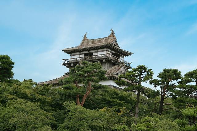 丸岡城(お天守前公園より)