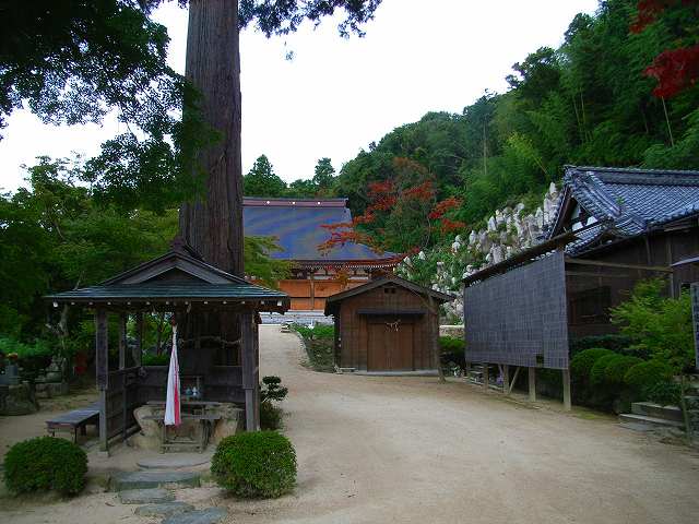 観音寺城_観音正寺01