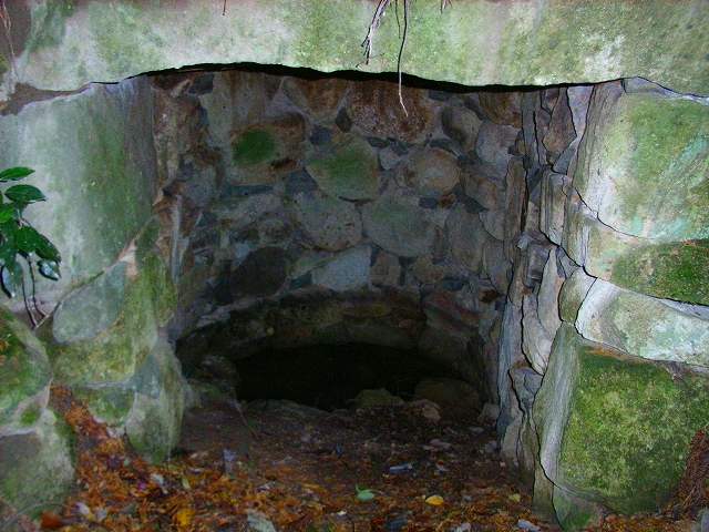 観音寺城_太夫大井戸01