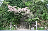 千早城_四の丸に向かう石段入口