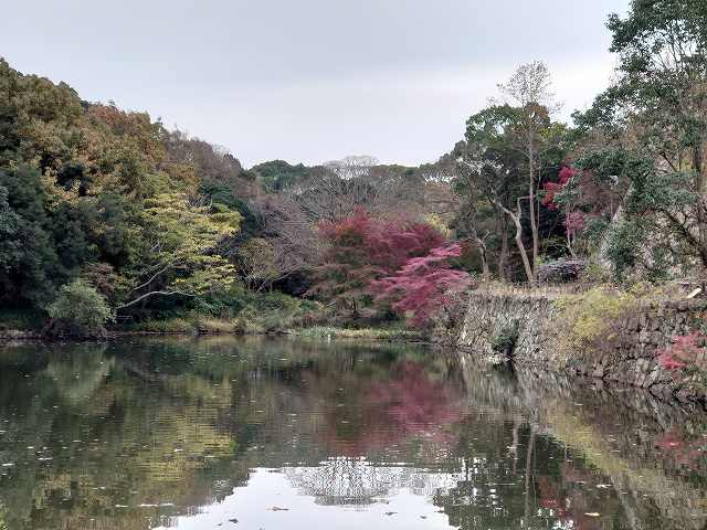 明石城 桜堀