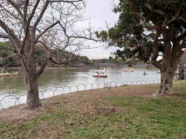明石城 剛の池
