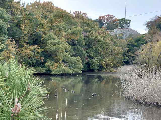 明石城 三ノ丸東側の濠