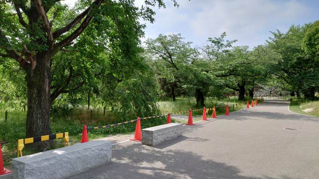 福岡城_本丸跡02