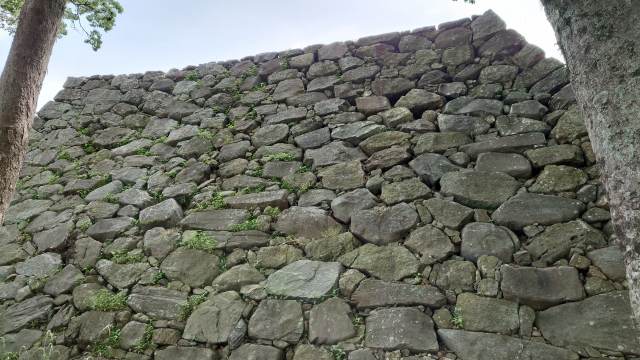 福岡城_天守台30(武具櫓から見た)