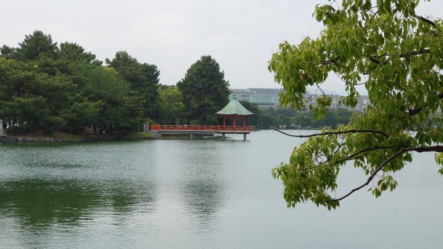福岡城_大濠(大濠公園)14