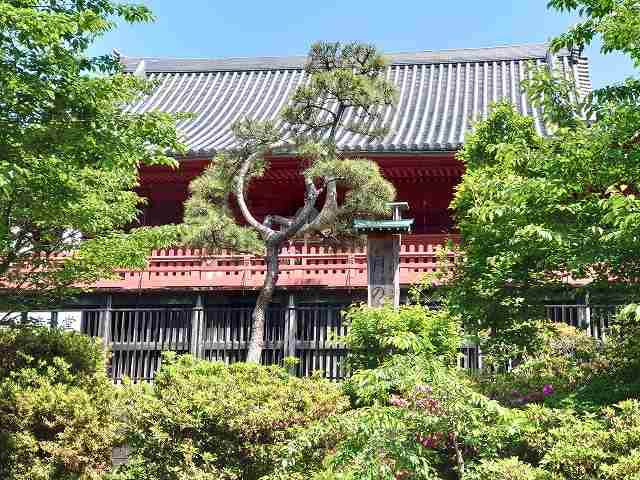 寛永寺 清水観音堂と清水の舞台