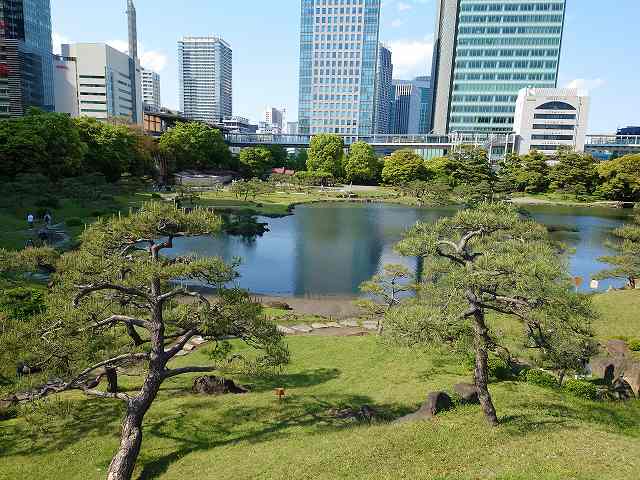 旧芝離宮恩賜庭園 池とビル群